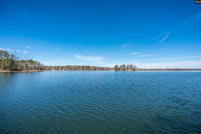 124 Quiet Cove Drive, Chapin, SC 29036