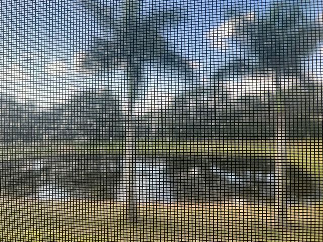 3640 WHITEHALL Drive 206, West Palm Beach, FL 33401