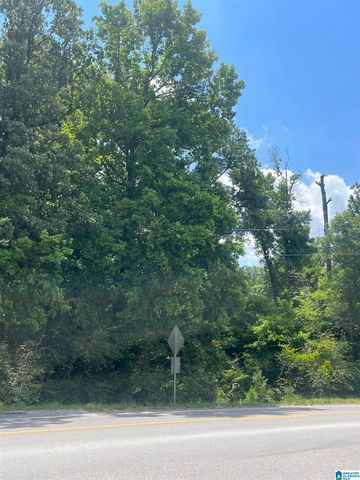 6355 HIGHWAY 31, Calera, AL 35040