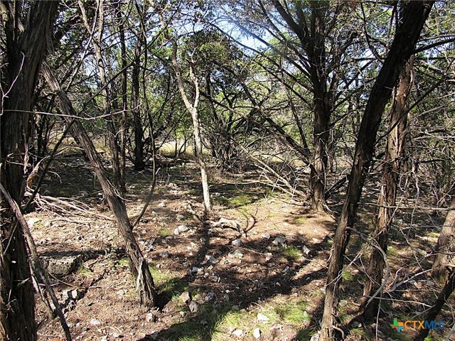 3901 Stillhouse Drive, Belton, TX 76513