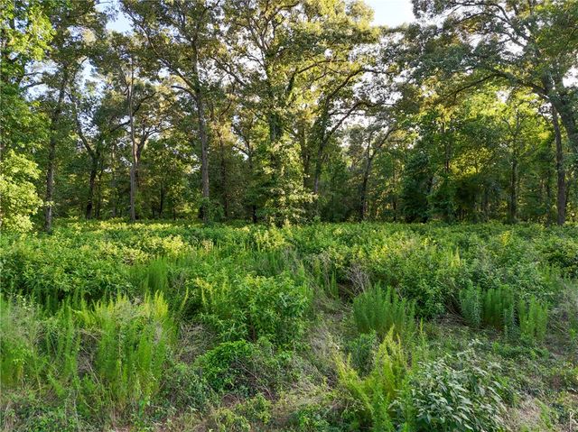 0 Mueschke Road, Tomball, TX 77377