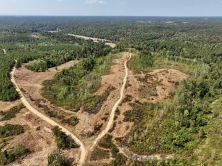0 Fire Tower Rd, Erin, TN 37061