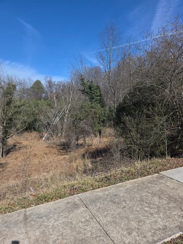 807 Old Forest Road, Lynchburg, VA 24501