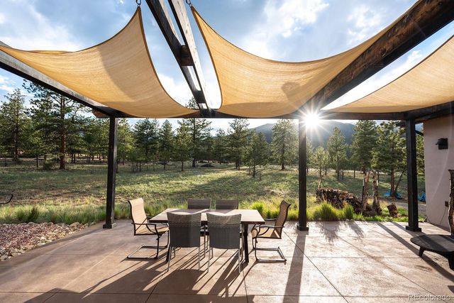 31322 N Meadow Way, Buena Vista, CO 81211