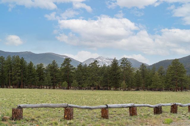 31322 N Meadow Way, Buena Vista, CO 81211