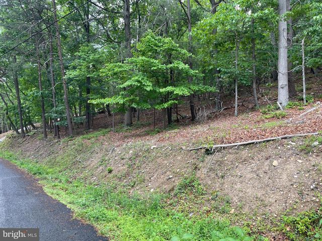 16207 SUMNEY DR, Haymarket, VA 20169
