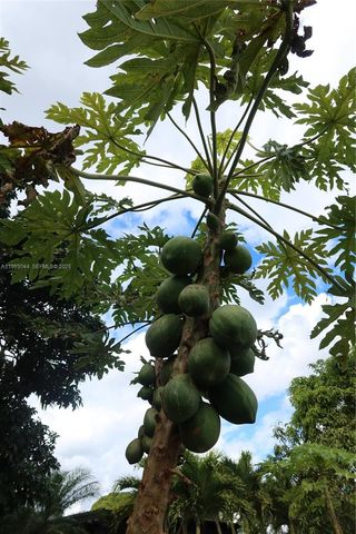 27684 SW 163rd Ct 0, Homestead, FL 33031