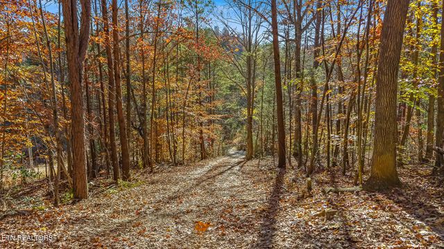 367 Cagle Road, Tellico Plains, TN 37385