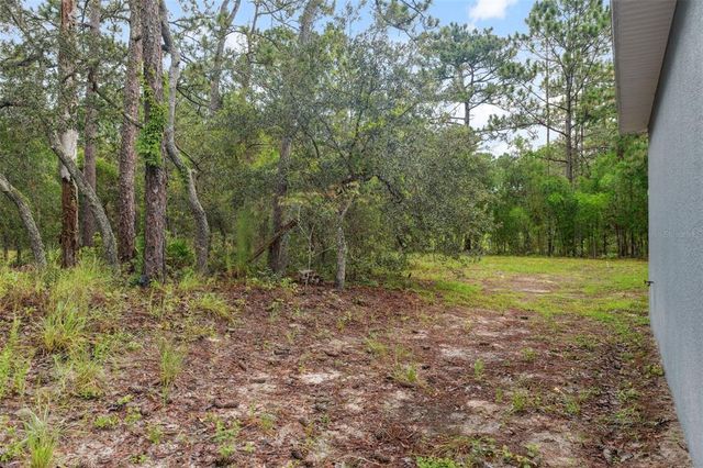 381 LISSON GROVE LANE, Spring Hill, FL 34609
