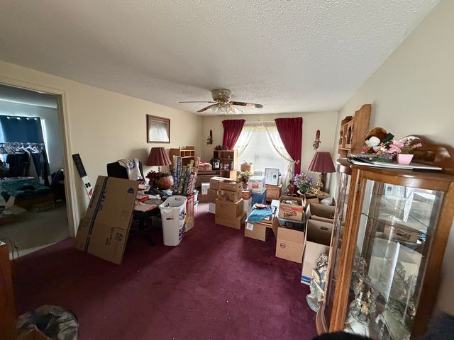 2041 mills cart Road, Salem, IL 62881