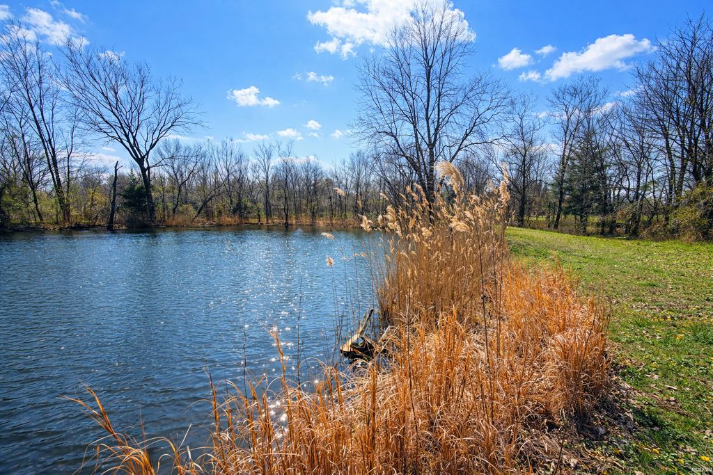 Image 3 of property listing at 2041 mills cart Road, Salem, IL 62881