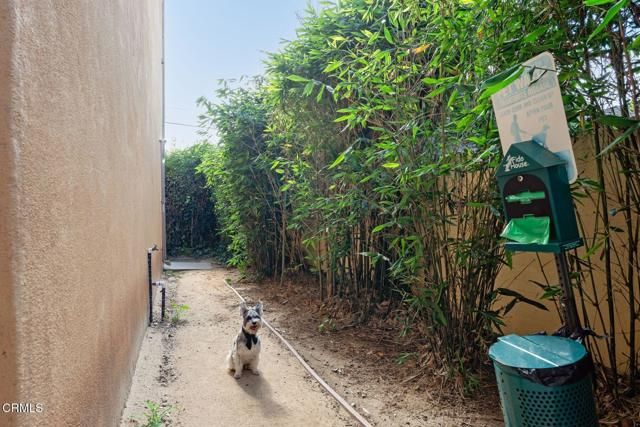 285 N Ventura Avenue 5, Ventura, CA 93001