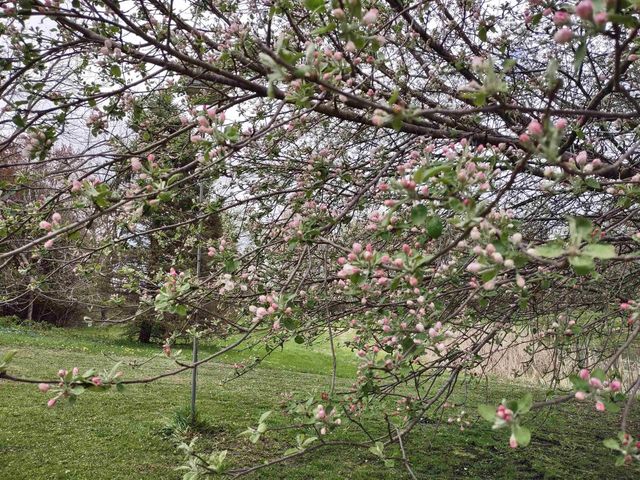 429 State Hwy 138 Road, Stoughton, WI 53589