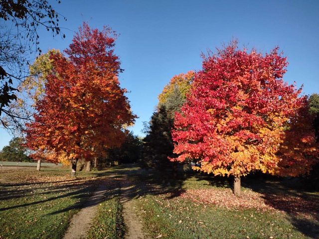 429 State Hwy 138 Road, Stoughton, WI 53589