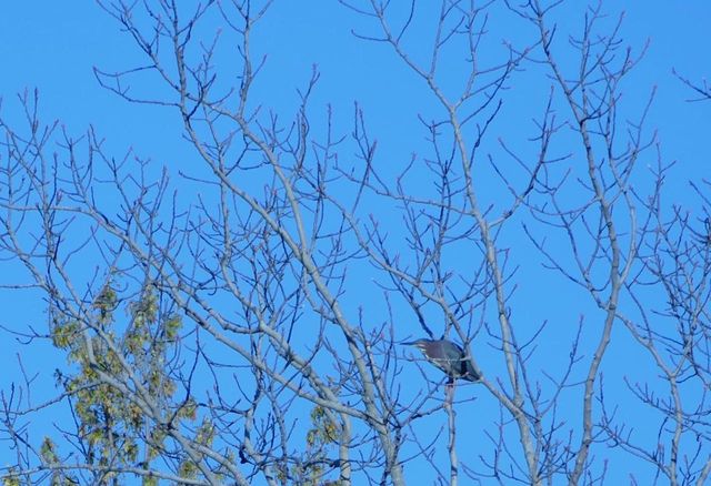 429 State Hwy 138 Road, Stoughton, WI 53589