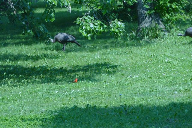 429 State Hwy 138 Road, Stoughton, WI 53589