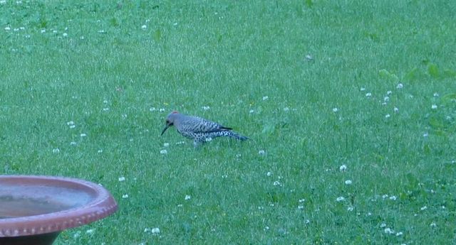 429 State Hwy 138 Road, Stoughton, WI 53589