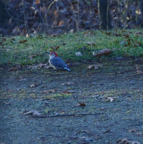 429 State Hwy 138 Road, Stoughton, WI 53589