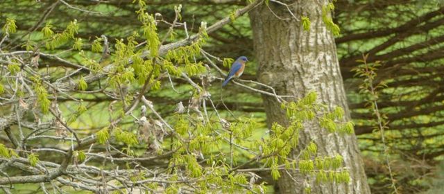 429 State Hwy 138 Road, Stoughton, WI 53589