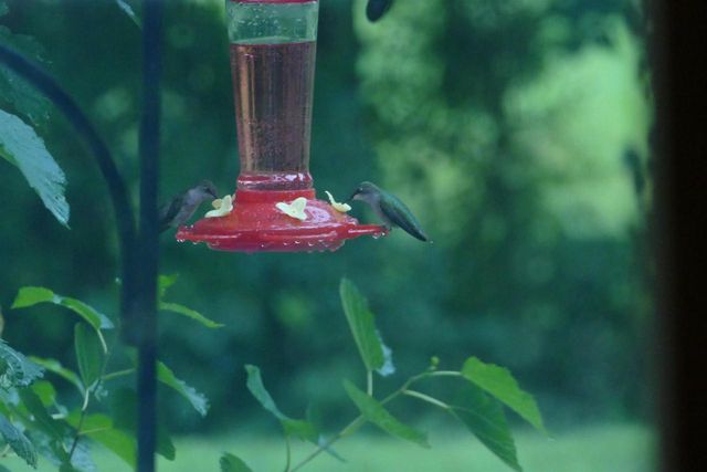 429 State Hwy 138 Road, Stoughton, WI 53589