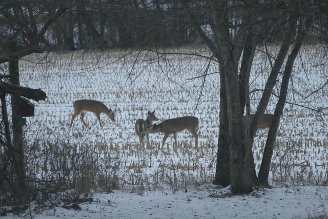 429 State Hwy 138 Road, Stoughton, WI 53589