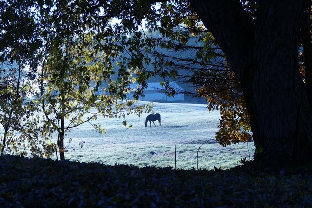 429 State Hwy 138 Road, Stoughton, WI 53589