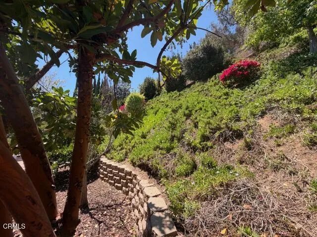 657 Dana Drive, Santa Paula, CA 93060