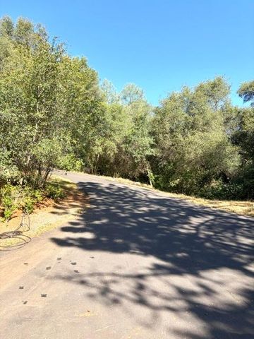 4703 Doe St, Shingle Springs, CA 95682