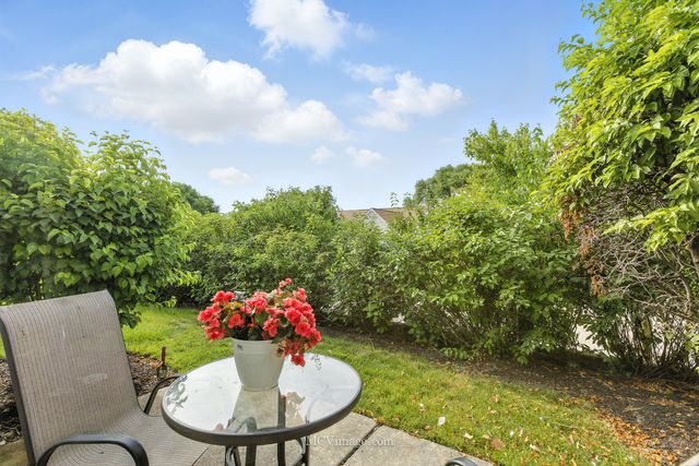 13504 S Buckthorn Lane, Plainfield, IL 60544