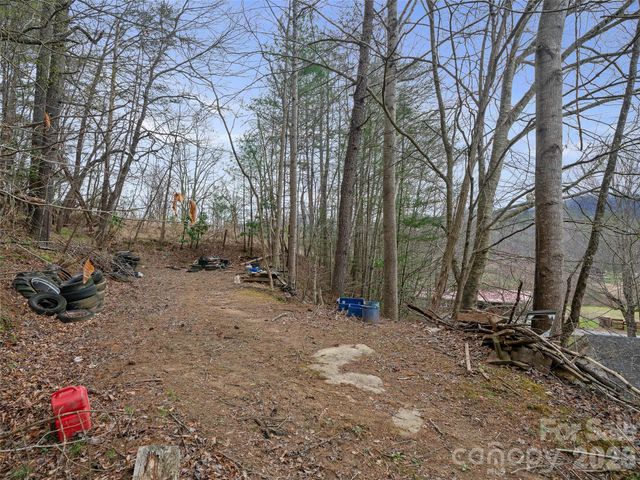 2432 Grapevine Road, Marshall, NC 28753