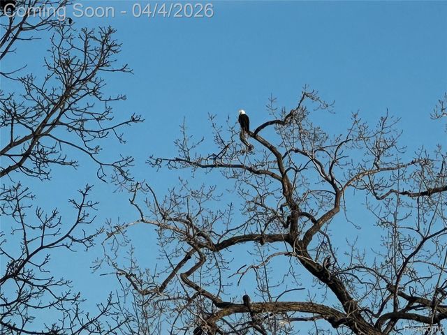 9666 Zukey Drive, Hamburg Township, MI 48169