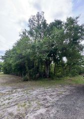 1249 SABLE PALM DRIVE, Christmas, FL 32709