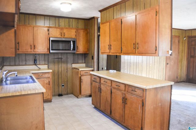 391 OLD DOWNING MILL ROAD, Anniston, AL 36207