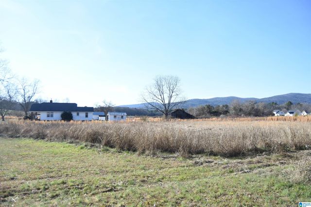 391 OLD DOWNING MILL ROAD, Anniston, AL 36207