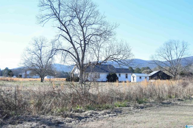 391 OLD DOWNING MILL ROAD, Anniston, AL 36207