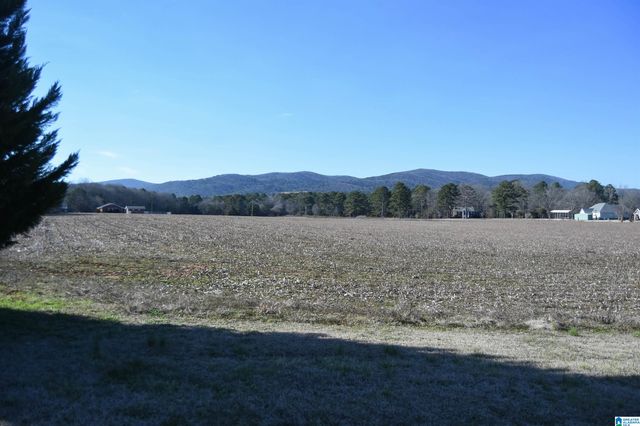 391 OLD DOWNING MILL ROAD, Anniston, AL 36207