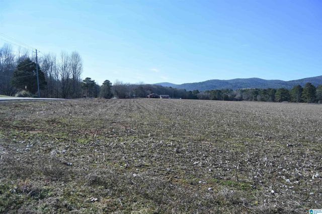 391 OLD DOWNING MILL ROAD, Anniston, AL 36207