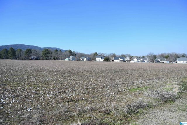 391 OLD DOWNING MILL ROAD, Anniston, AL 36207