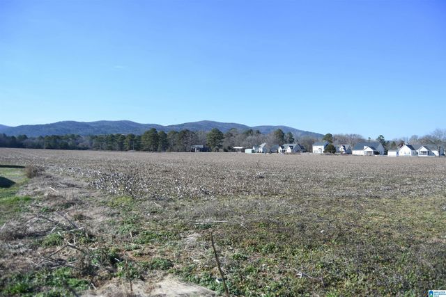 391 OLD DOWNING MILL ROAD, Anniston, AL 36207