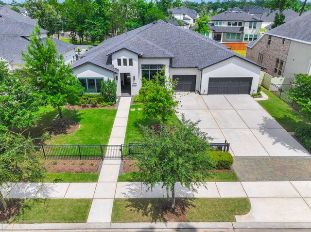 10561 Lake Palmetto Drive, Conroe, TX 77385