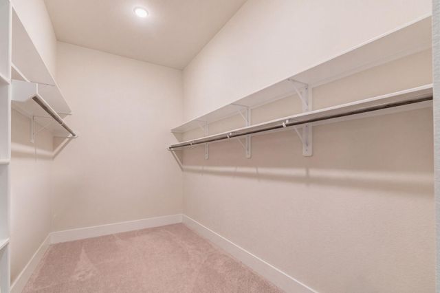 10561 Lake Palmetto Drive, Conroe, TX 77385