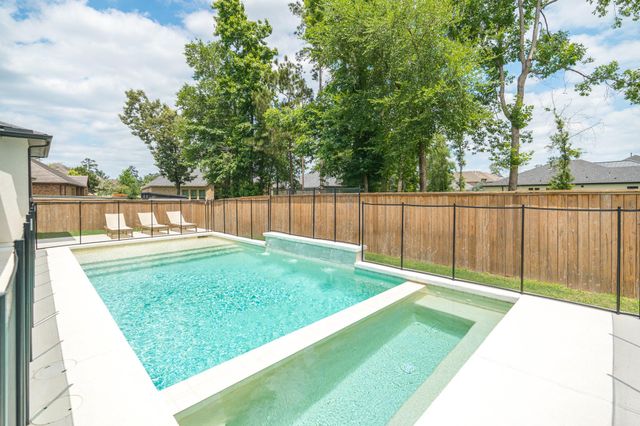 10561 Lake Palmetto Drive, Conroe, TX 77385