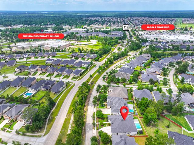 10561 Lake Palmetto Drive, Conroe, TX 77385