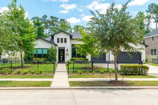 10561 Lake Palmetto Drive, Conroe, TX 77385