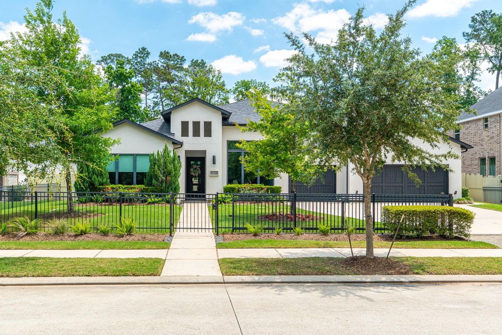 10561 Lake Palmetto Drive, Conroe, TX 77385