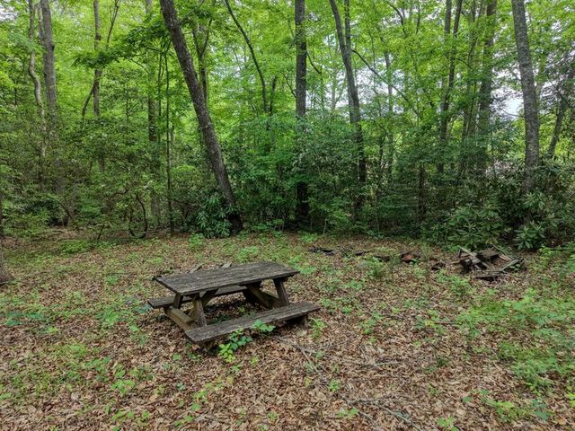1568 Carlvin Road, Hiawassee, GA 30546