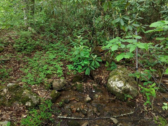 1568 Carlvin Road, Hiawassee, GA 30546