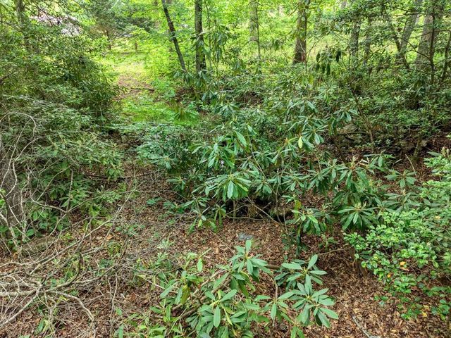 1568 Carlvin Road, Hiawassee, GA 30546