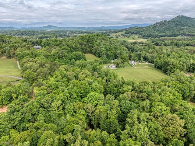 1568 Carlvin Road, Hiawassee, GA 30546