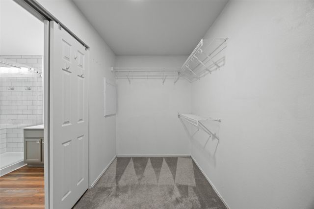 3697 Spring Canyon TRL, Round Rock, TX 78681